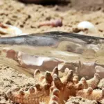 Hvordan opbevarer jeg tekstilmalingen bedst muligt?